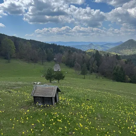 Brvnara Jevtic, Tara Casa de Férias