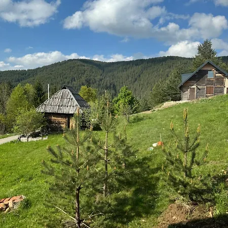 Brvnara Jevtic Holiday home Mokra Gora