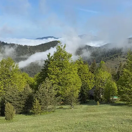Brvnara Jevtic Holiday home