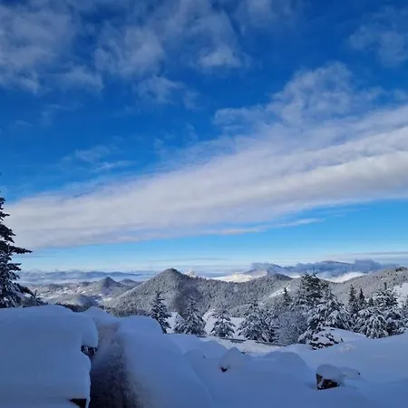 Brvnara Jevtic, Tara *