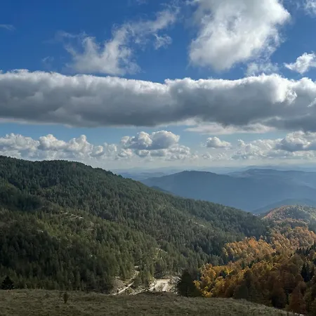 Casa de Férias Brvnara Jevtic, Tara