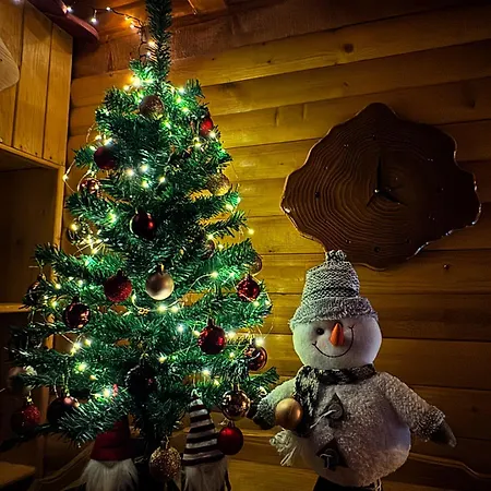 Brvnara Jevtic, Tara